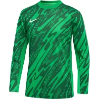 Nike Målmandstrøje Dri-FIT Gardien V L/S - Grøn/Grøn/Hvid Børn, størrelse XL: 158-170 cm