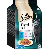 Sheba Økonomipakke: 72 x 50 g Fresh & Fine portionsposer - Tun, laks og hvidfisk i gelé