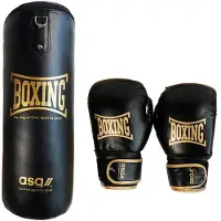 ASG Junior Boksesæt - 15 Kg. (Handsker + Boksepude) Sort/Guld