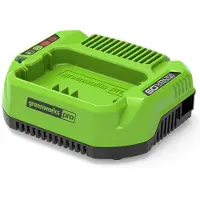 Greenworks 2932007, Batterioplader, , Grøn, Vekselstrøm, Lithium-Ion (Li-Ion), Acrylonitrilbutadienstyren