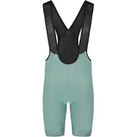 Bioracer Icon Seasonal Cykelshorts