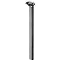 Giant Variant 2024 Tcr Sadelpind