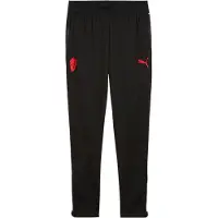 Puma AC Milan Training Pants Men, Sport, Black/Red, S