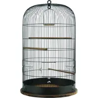 Zolux fuglebur Retro Marthe sr. 45, mørkebrun farve