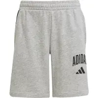 Adidas Seasonals Essentials Collegiate Typography Shorts