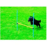 Pawise Agility-hækkel 16 Cm