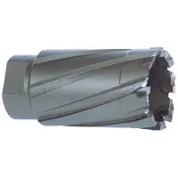 RUKO 108019 Cm2/cm3 Ø 19 Mm Hulbor