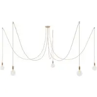 Creative Cables Spider 5 Falls With Light Bulb Pendellampe