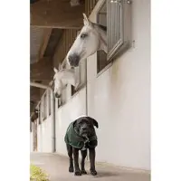 Diego & Louna Teddy Nylon Hundejakke