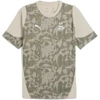 Puma PSV Eindhoven Training Jersey Men, Sport, Desert Dust/Loden Green, M