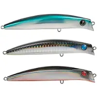 Seaspin Coixedda Sinking Minnow 16g 100 Mm