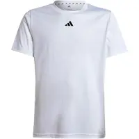 Adidas Funktionsskjorte 'Train Essentials' sort / hvid