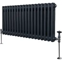 MonsterShop Traditionel 2-søjlet radiator - 300 x 832 mm - Antracitgrå