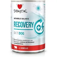 Disugual Recovery Diet Lam 6x400g Våd Hundefoder
