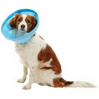 Kruuse Soft Flex Elizabethan 25 Cm Hundehalsbånd 5 Enheder