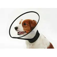 Kruuse Complete 20 Cm Elizabethan Hundehalsbånd 5 Enheder