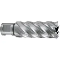 RUKO 108548e Hsse-co 5 Weldon Cbn 3/4´´ 55 Mm Ø 48.0 Mm Hulbor