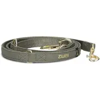 Zwei Leo Le20 Hundesnor
