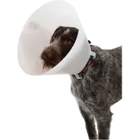 Kruuse K273325 Elizabethan Hundehalsbånd 10 Enheder