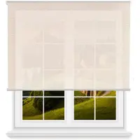 Wellhome Polyester Gennemsigtigt Rullegardin 160 X 250 Cm