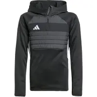 Adidas Tiro 25 Essentials Winterized Training Hættetrøje