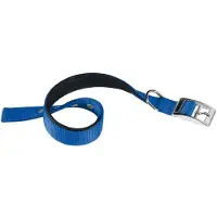 Ferplast Nylon Daytona C 40 Mm 63 Cm Hundehalsbånd