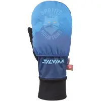 Silvini Montignoso Vanter