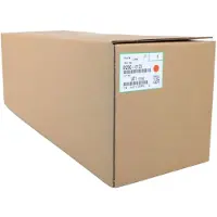 Ricoh Imaging D2960123 Printertromle