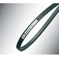 Optibelt Kilerem 17X1525 B60