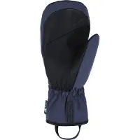 Viking Norvik Pro Ski Vanter