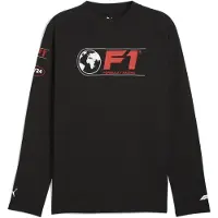 Puma F1 Longsleeve Tee Men, Clothing, Black, M