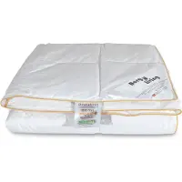 Borg Living Sommerdyne - 200x200 cm - Dobbeltdyne med 100% gåsedun - let sommerdyne