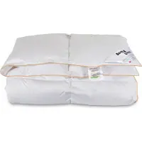 Borg Living Gåseduns dyne - Helårsdyne med 100% dun - 240x220 cm -