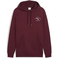 Puma Class Graphic Hættetrøje