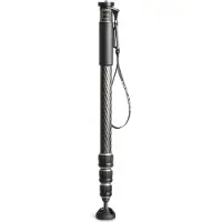 Gitzo Gm2542 Serie 2 Monopod