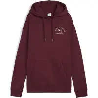 Puma Class Relaxed Fit Hættetrøje