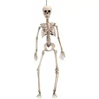 MOM Skelet 120 Cm