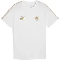 Puma Fc Red Bull Salzburg King T-shirt, størrelse Medium