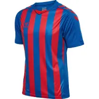 Hummel Core Xk Striped T-shirt Med Korte ærmer