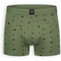 Adam Boksershorts '8 Bit Dino' oliven / sort