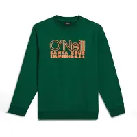O'Neill Sweatshirt grøn / orange