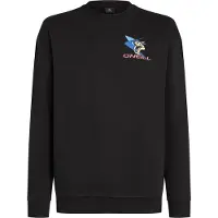 O'Neill Fwc Play Sweatshirt