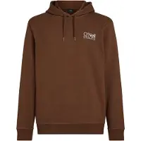O'Neill Sweatshirt kastaniebrun / naturhvid