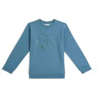 O'Neill Sweatshirt dueblå