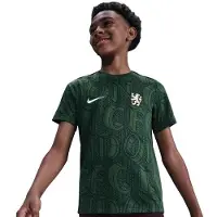 Nike Chelsea Trænings T-Shirt Dri-FIT Academy Pro Pre Match - Grøn/Grøn Børn - , størrelse L: 147-158 cm