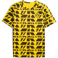 Puma Dortmund Trøje Pre Match - , størrelse X-Small