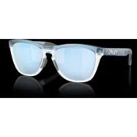Oakley Frogskins Range Polariserede Solbriller