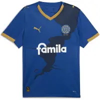 Puma Holstein Kiel 25/26 Home Jersey Men, Sport, Clyde Royal/Gold, M