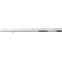 Shimano Fishing Stardic Fast Spinnestang