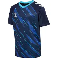 Hummel Spilletrøje Match Triumph - Navy/Blå Børn, størrelse 164 cm